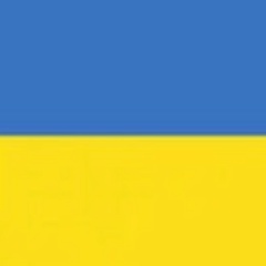 Татьяна Павличенко, Киев