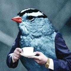 Таня Тикка, 25.01.1985, Санкт-Петербург