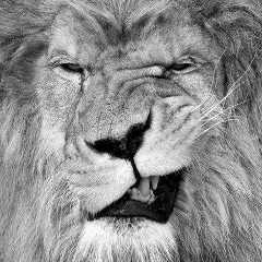 Zangar Omarov, 21.07, Алматы