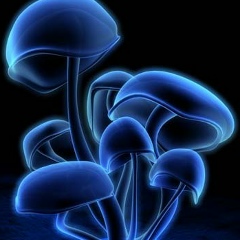 Шолбан Вадимович