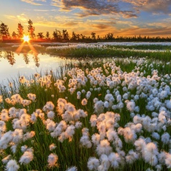 Светлана Карайванская, 19.12