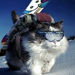 Василий Бычок, 18.08.1988, Новый Уренгой