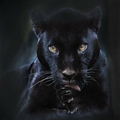 Виктория Кустова, 08.05, Санкт-Петербург