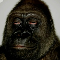 Артем Куренев, 17.07.1983, Ярославль