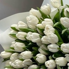 Эсет Магомадова, Волгоград