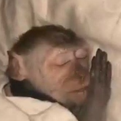 Александр Лентяев, 07.06.1993, Буштына