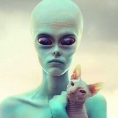 Макс Воронин, 01.02, Киев