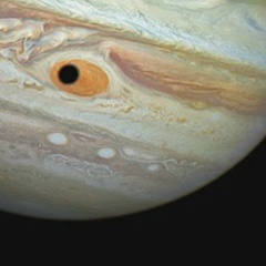 Владимир Дёмкин, 30.01, Москва