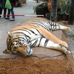 Павел Дмитриевич, 06.01.1983, Усинск