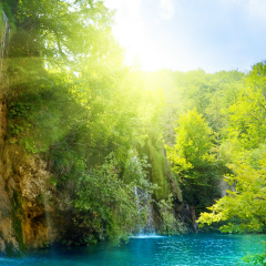 Илья С, Санкт-Петербург