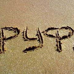 Руфат Гамидов, 23.02.1995, Саратов