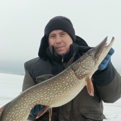 Александр Невоструев, 11.09.1982, Игра