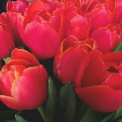 Александра Юрьевна, 08.08.1988, Канаш