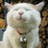 Евгений Михайлов, 24.12, Чебоксары