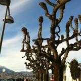 Ильяс Тас, 08.08.1959