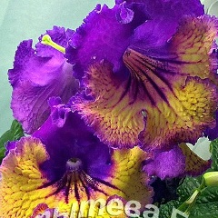 Екатерина Штытева, 06.05, Мурманск