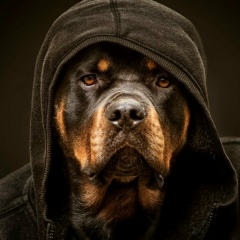 Джига Джигитаев