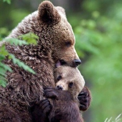 Екатерина Митюшкина, 19.03.1987, Санкт-Петербург