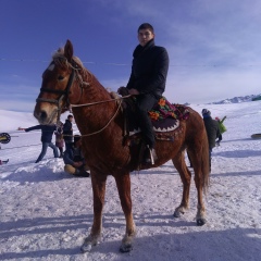 Дани Малаевич, 15.09, Ош