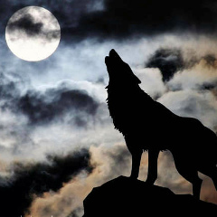 Сергій Бондар, 15.03, Ровно