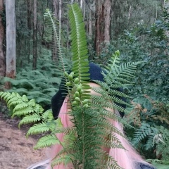 Майя Корсик, 09.05.1990, Минск