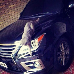 Галымжан Кеншимбаев, 17.08.1991, Кызылорда