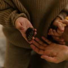 Вероника Хиоара, 17.10, Москва