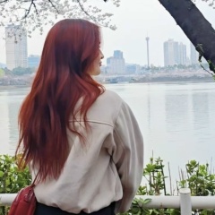 Zlata Sun, Seoul