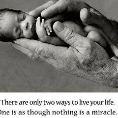 Salim Seif, Саратов