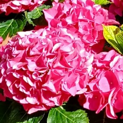 Юлия Березняк, 14.10, Санкт-Петербург