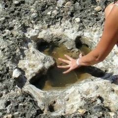 Ника Мила, 01.01, Санкт-Петербург