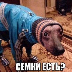 Андрей Солодков, 29.02.1984, Москва