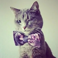 Султан Даулет, Алматы