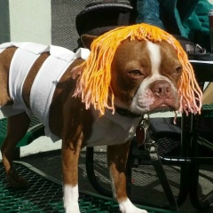 Фисташка Мозга, 02.12, Санкт-Петербург