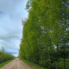 Наталья , 07.04