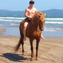 Рокки Марчиано, 14.01, New York City