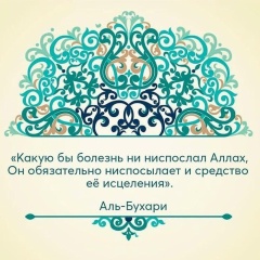 Курбан Магомедов, Ставрополь