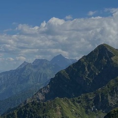 Артем Веселов