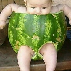 Шамиль Сурхаев