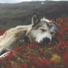 Владимир Мурашко, 29.12, Алматы