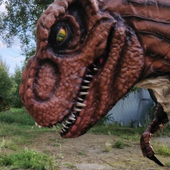 Ольга Бус, 14.12, Челябинск