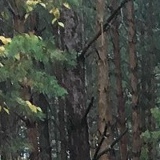 Павел Ковшов, 30.06