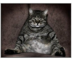 Юра Михайловский