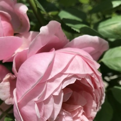 Амина Яруллина, 14.11, Самара