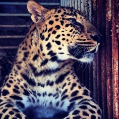 Lyuda Mironova, 12.06, Алматы