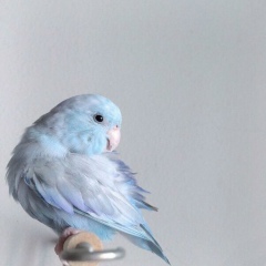 Алтынай Серик, 13.07