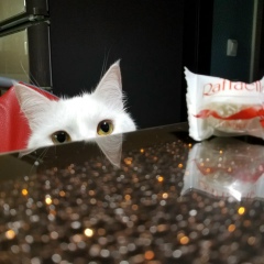 Ольга Мандрыкина, 25.05, Москва