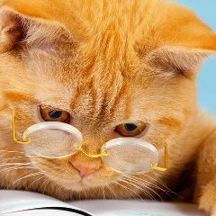 Галина Каракозова, Сыктывкар