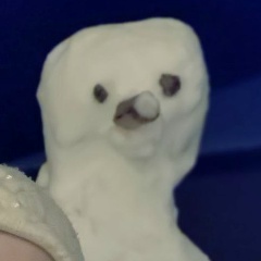 Ольга Кудрявцева, 29.01, Санкт-Петербург