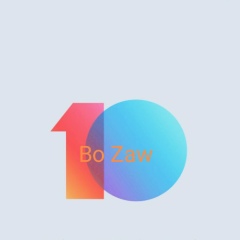 Bo Zaw